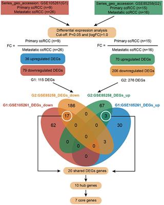 Identification of a Metastasis-Associated Gene Signature of Clear Cell Renal Cell Carcinoma